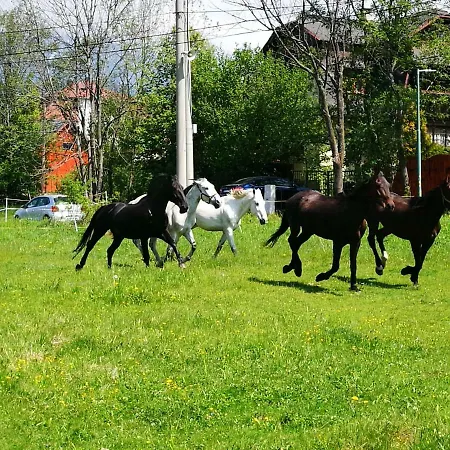Penzion Monty Ranch Vysoke Tatry